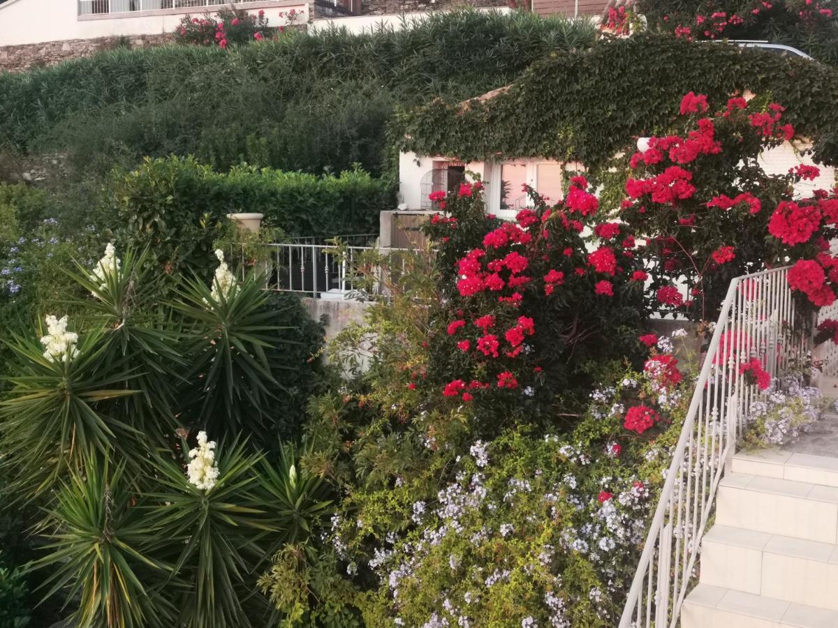 Affittacamere Patrizia Bastia (Corsica)
